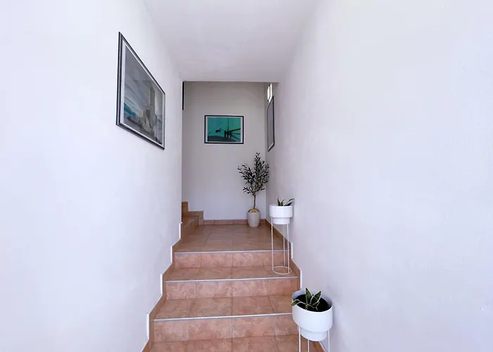 Neptun By Interhome Apartment *